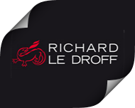 Камины Richard-Le-Droff